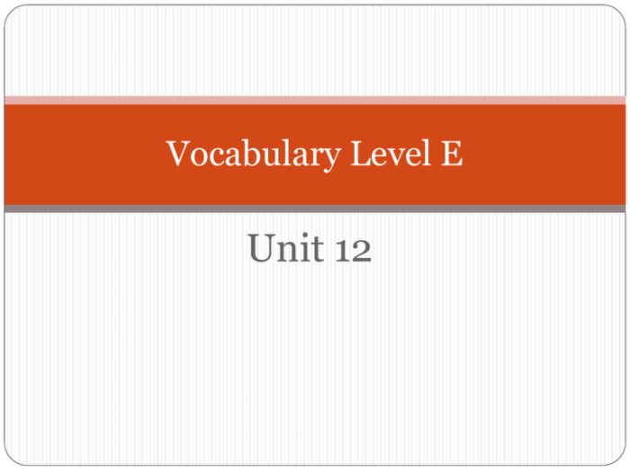 Unit 1 vocabulary level e