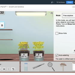 Fast plants gizmo answer key