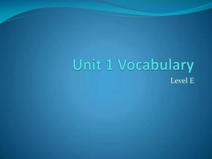 Unit 1 vocabulary level e