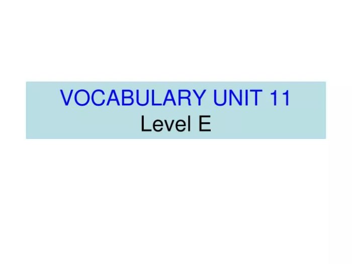 Unit 1 vocabulary level e