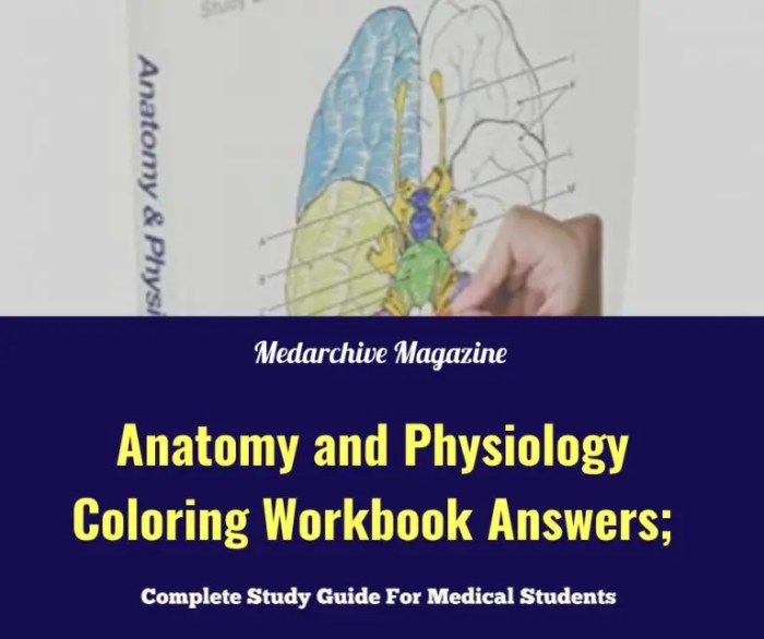 Anatomy and physiology coloring workbook chapter 3 answer key