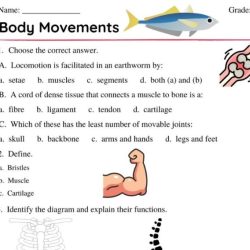 Yoga positions joint movements worksheet answers